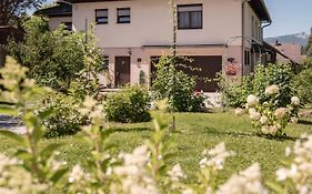 Ferienwohnung Felicitas by Appartementhaus Theresia